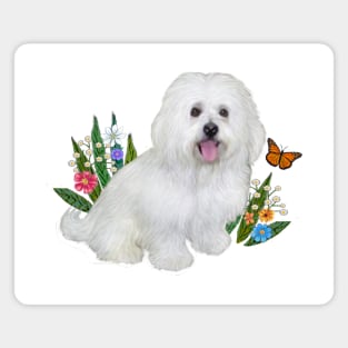 A Bolognese Dog Sitting in Soft Grass with Flowers Magnet